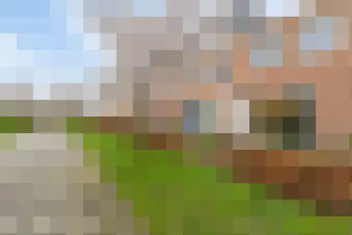 Dambordje 14 Breda thumbnail 6