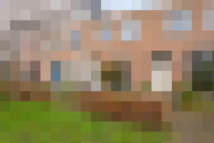 Dambordje 14 Breda thumbnail 7