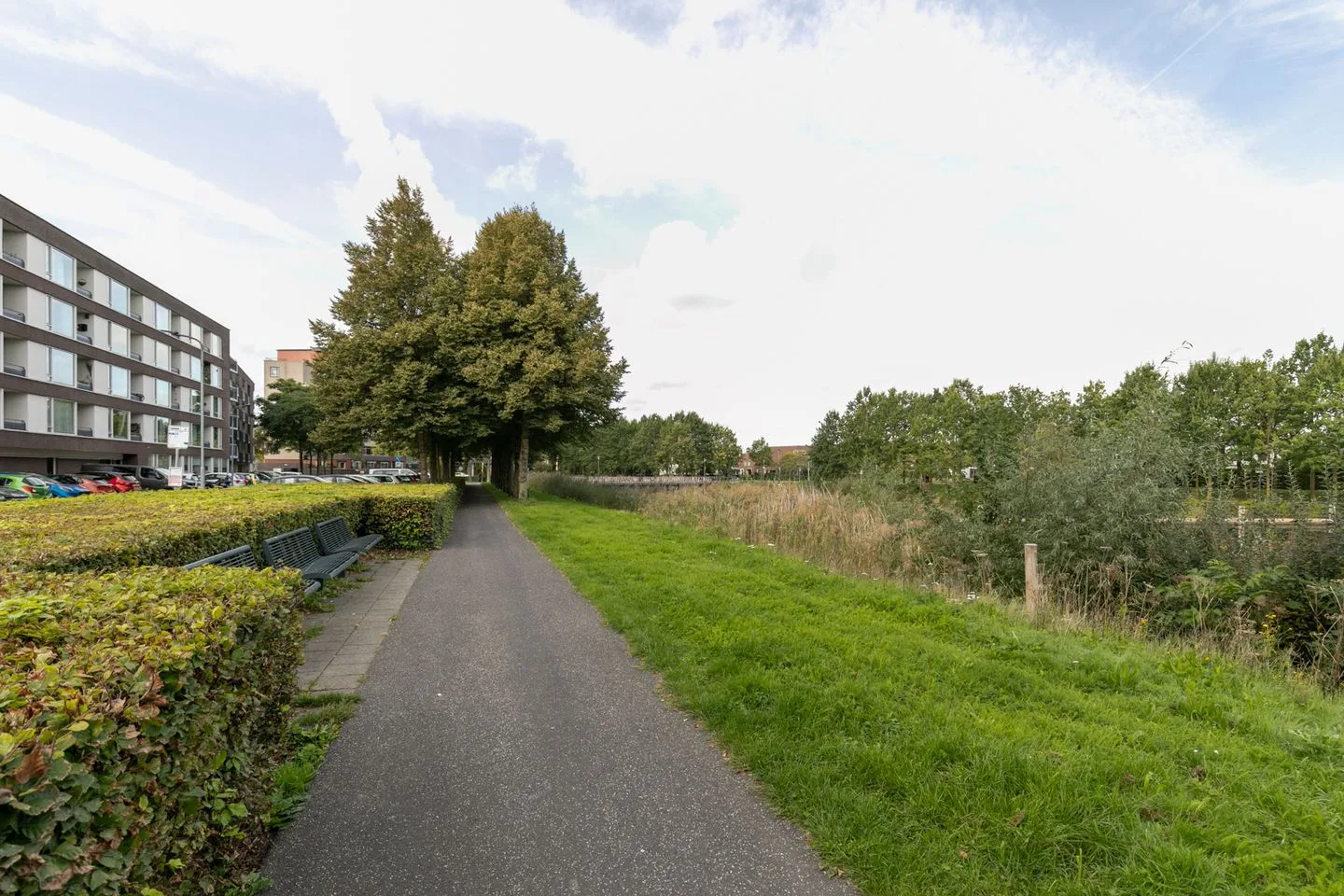 Dambordje 18 Breda thumbnail 57