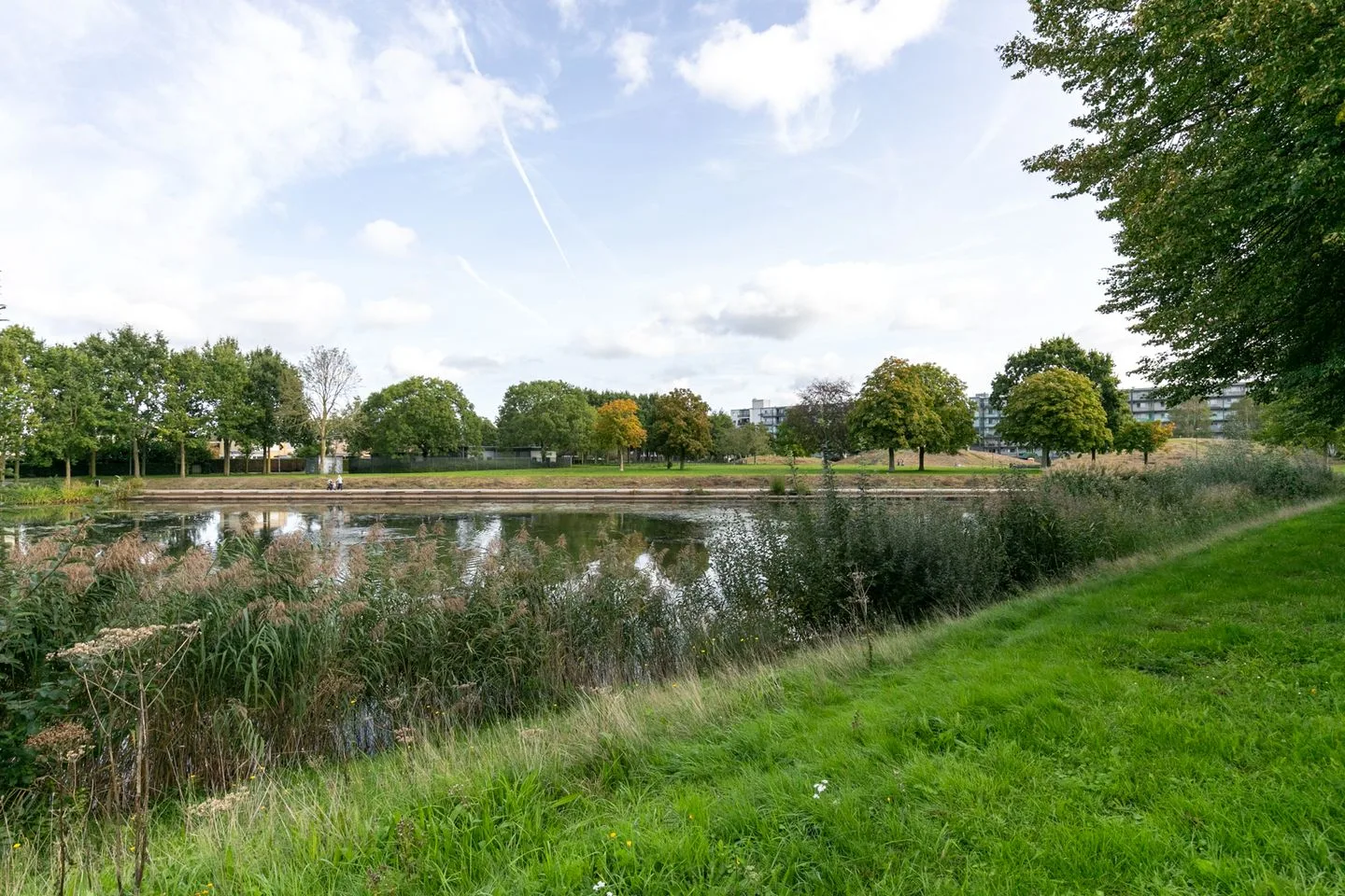 Dambordje 18 Breda thumbnail 58