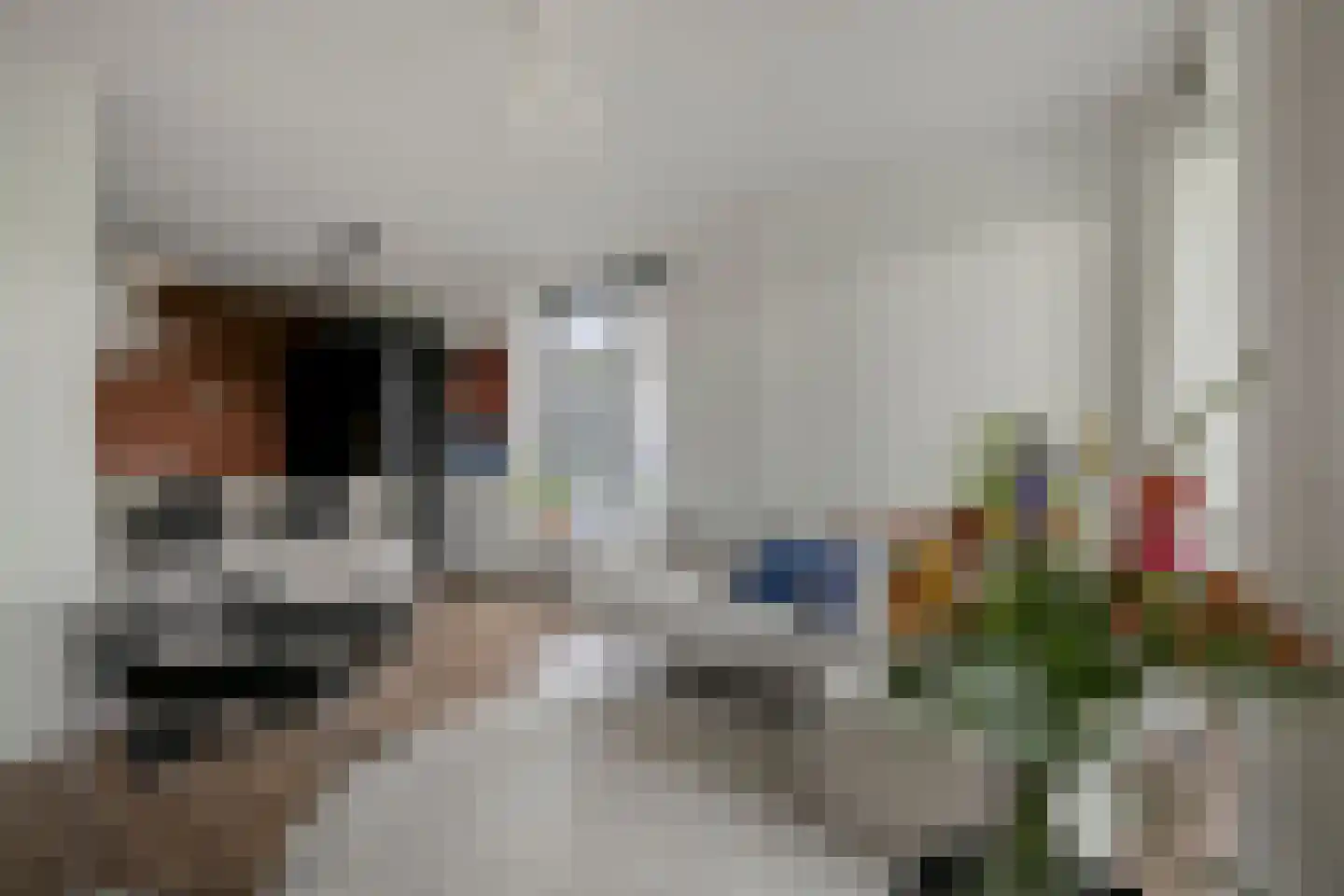 Dambordje 2 Wolvega thumbnail 10