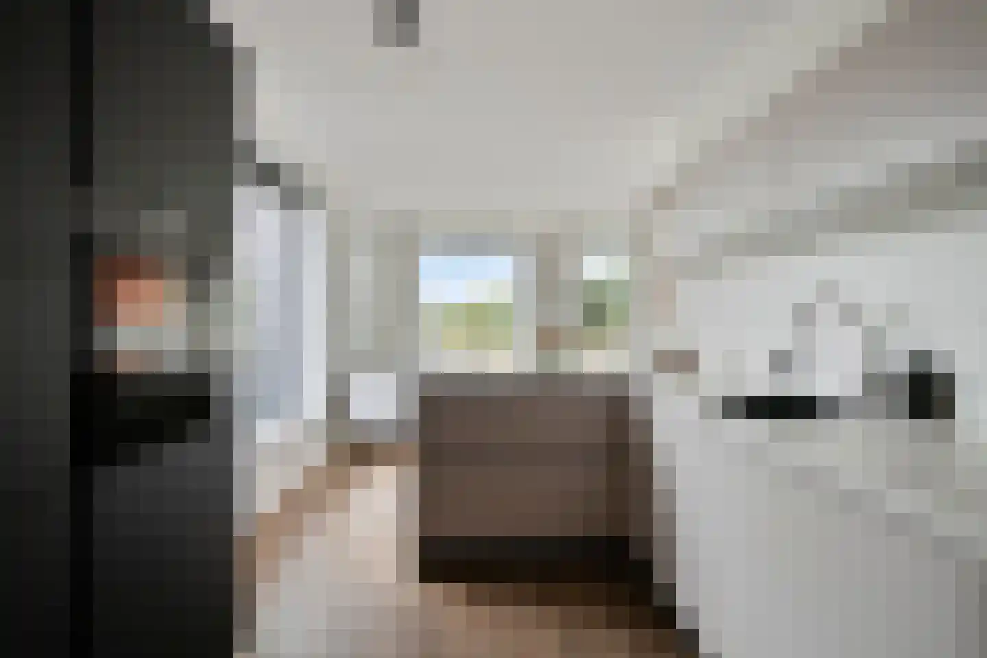 Dambordje 2 Wolvega thumbnail 12