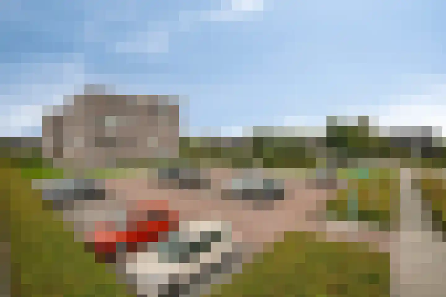 Dambordje 2 Wolvega thumbnail 33