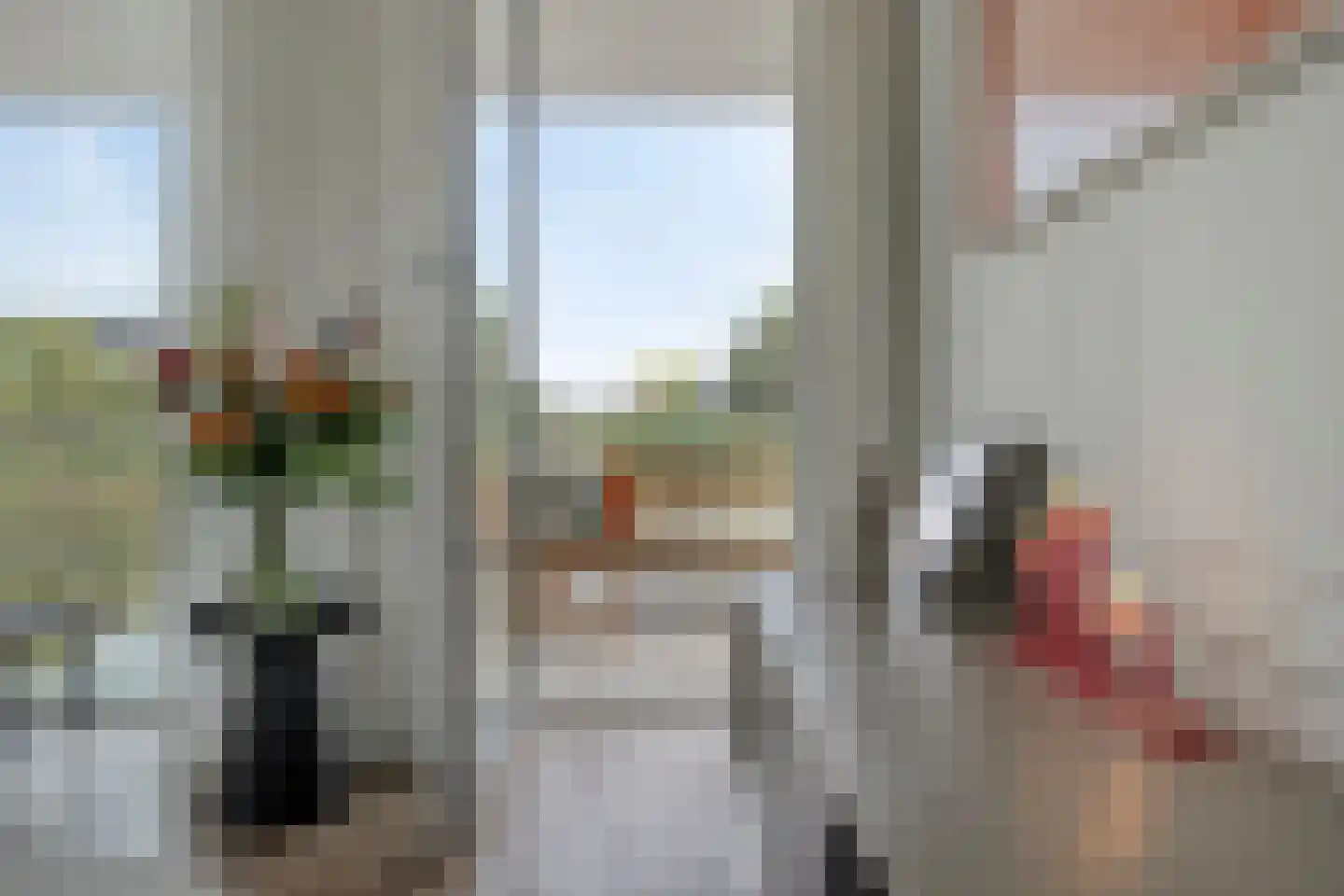 Dambordje 2 Wolvega thumbnail 6