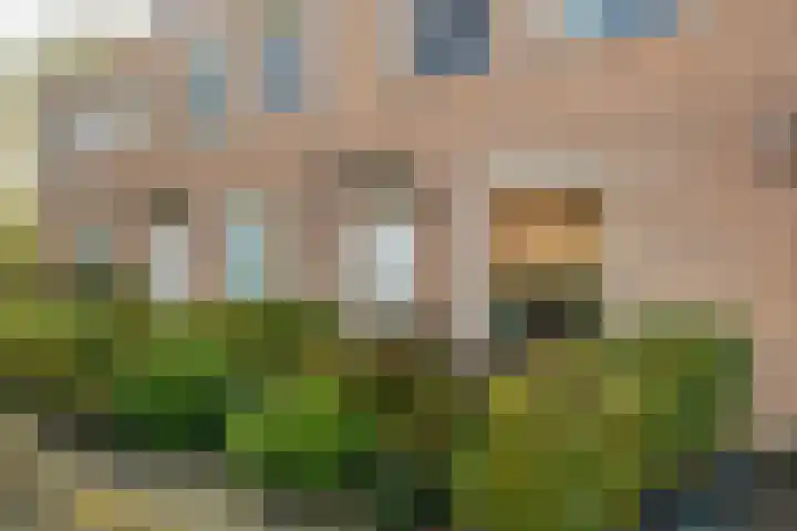 Dambordje 22 Breda thumbnail 10