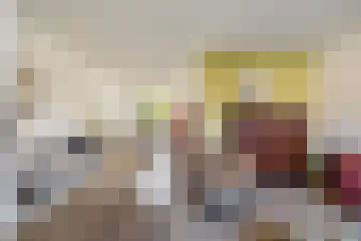 Dambordje 22 Breda thumbnail 17