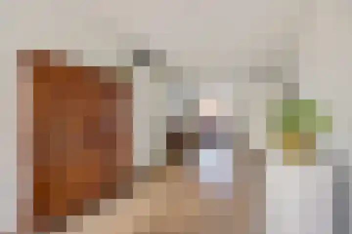 Dambordje 22 Breda thumbnail 19