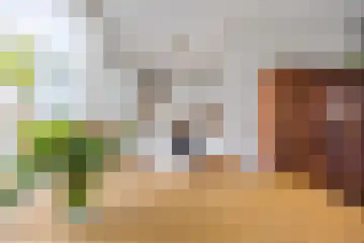 Dambordje 22 Breda thumbnail 20
