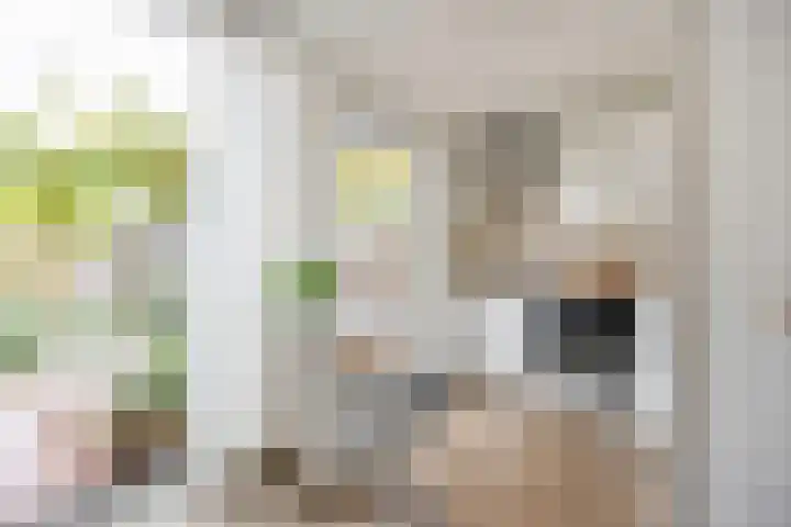 Dambordje 22 Breda thumbnail 21