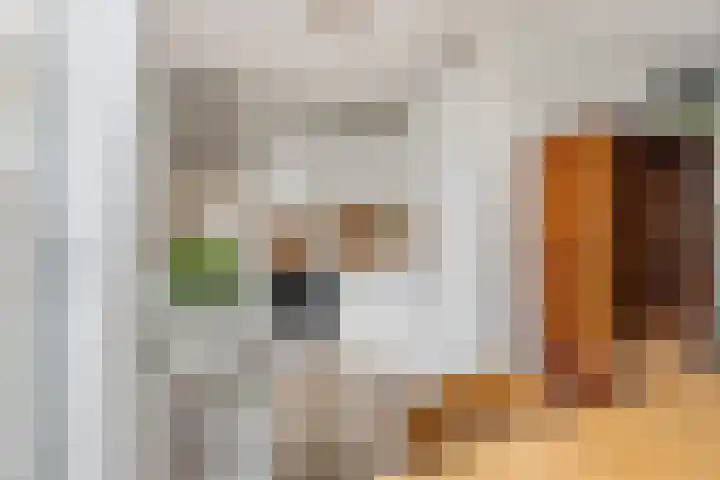 Dambordje 22 Breda thumbnail 23