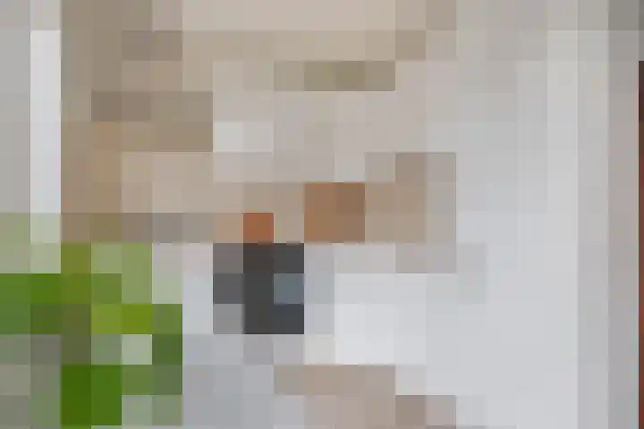 Dambordje 22 Breda thumbnail 24