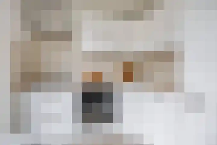 Dambordje 22 Breda thumbnail 25
