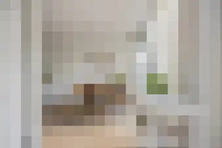 Dambordje 22 Breda thumbnail 26