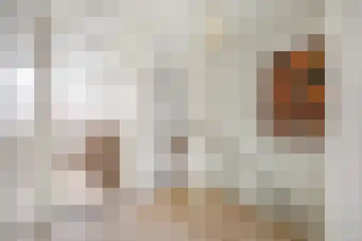 Dambordje 22 Breda thumbnail 28
