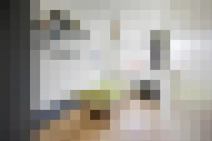 Dambordje 22 Breda thumbnail 30