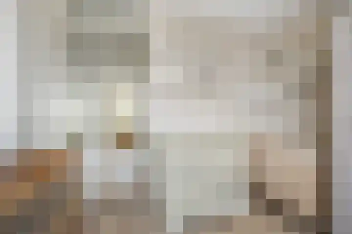 Dambordje 22 Breda thumbnail 34