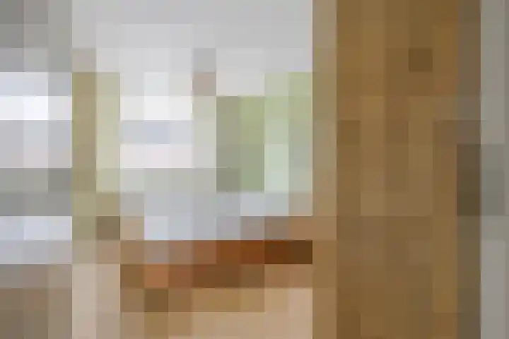 Dambordje 22 Breda thumbnail 35