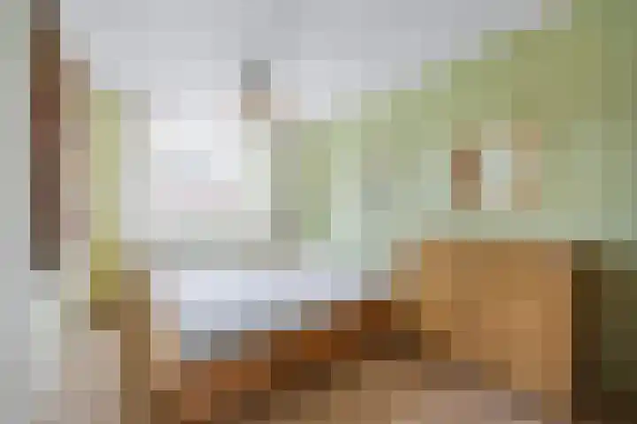 Dambordje 22 Breda thumbnail 36