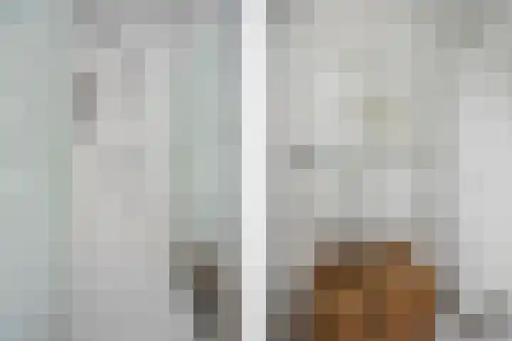 Dambordje 22 Breda thumbnail 41