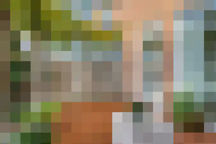 Dambordje 22 Breda thumbnail 42