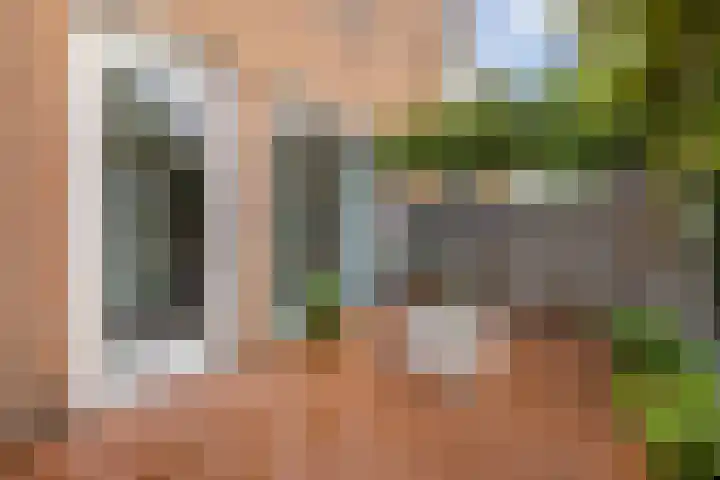 Dambordje 22 Breda thumbnail 43