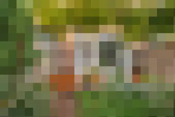 Dambordje 22 Breda thumbnail 44