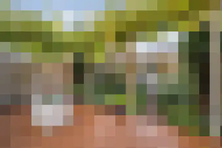 Dambordje 22 Breda thumbnail 45