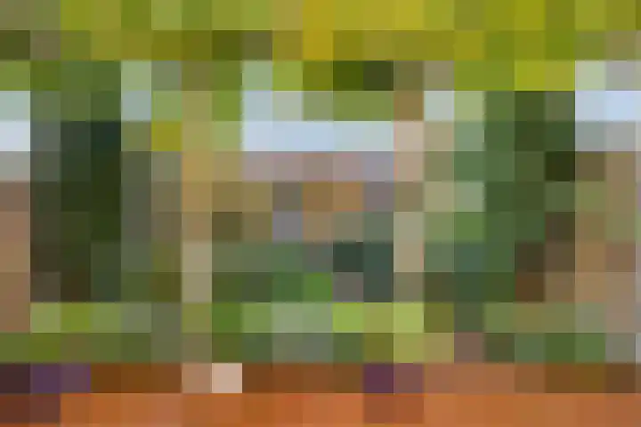 Dambordje 22 Breda thumbnail 46