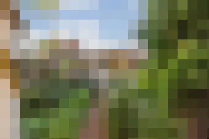 Dambordje 22 Breda thumbnail 47
