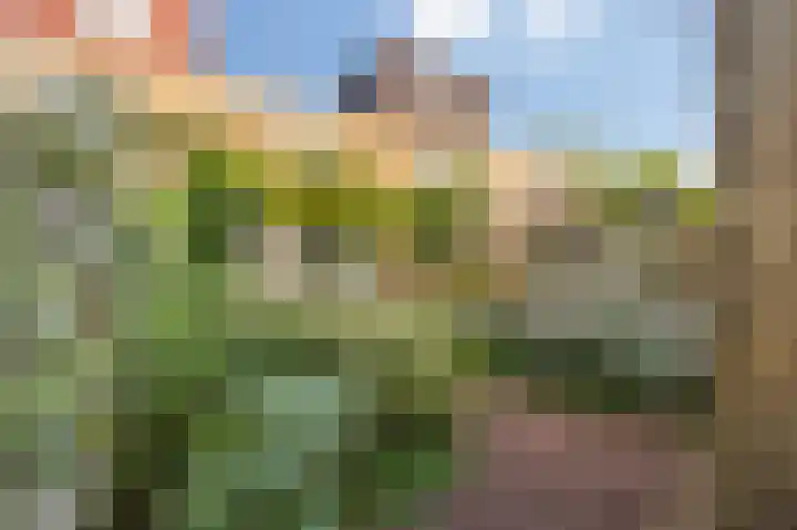 Dambordje 22 Breda thumbnail 48