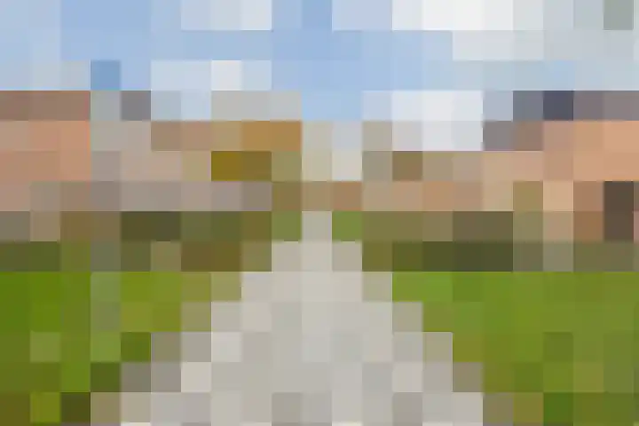 Dambordje 22 Breda thumbnail 6