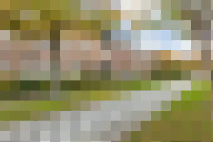 Dambordje 22 Breda thumbnail 7