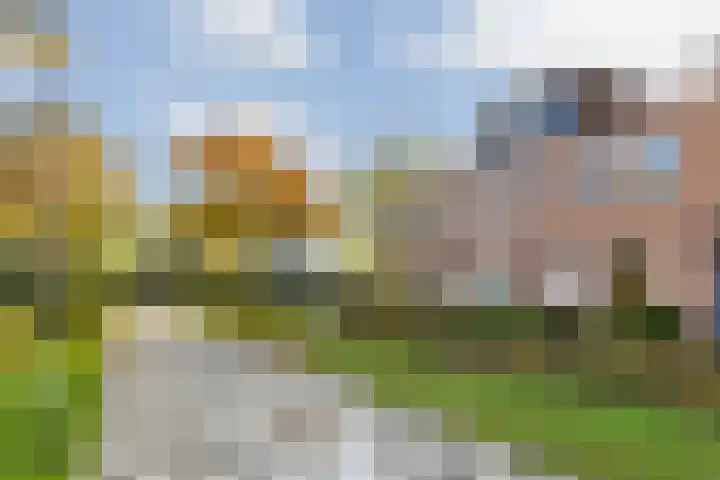 Dambordje 22 Breda thumbnail 9
