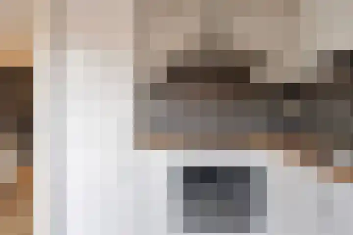 Dambordje 23 Breda thumbnail 11