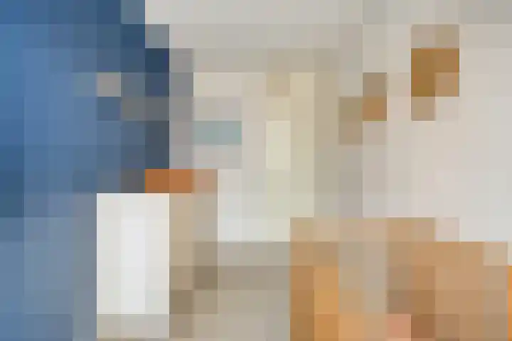 Dambordje 23 Breda thumbnail 14