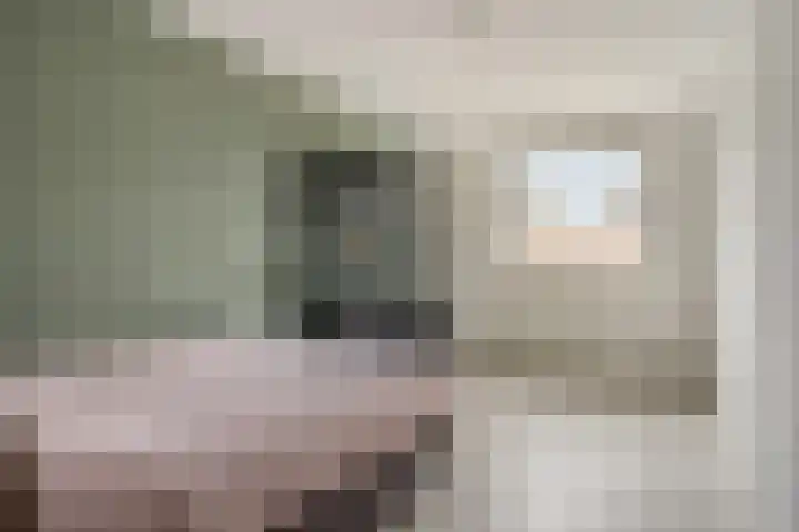 Dambordje 23 Breda thumbnail 15