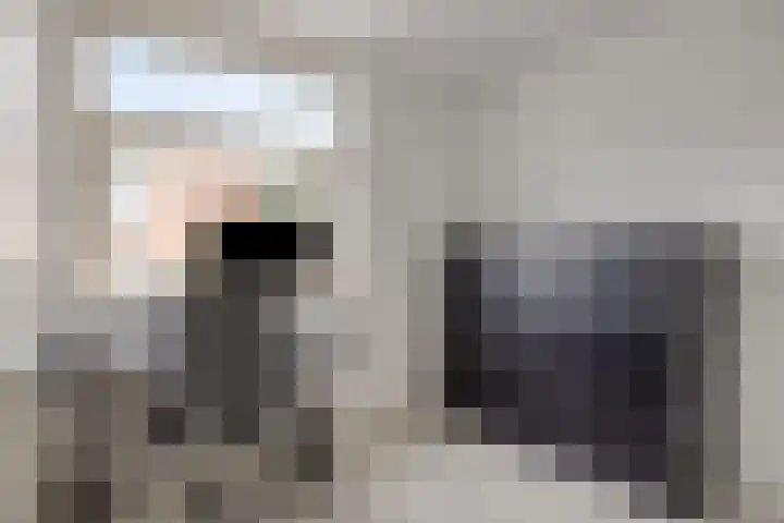 Dambordje 23 Breda thumbnail 17