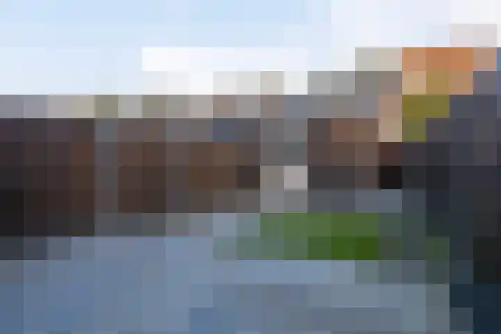 Dambordje 23 Breda thumbnail 29