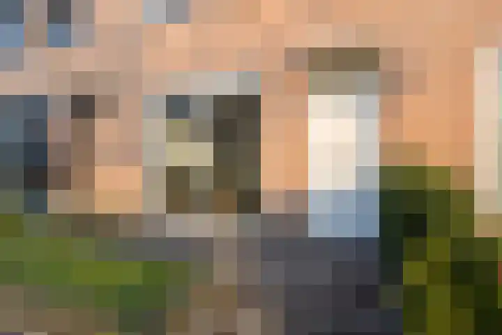 Dambordje 23 Breda thumbnail 31