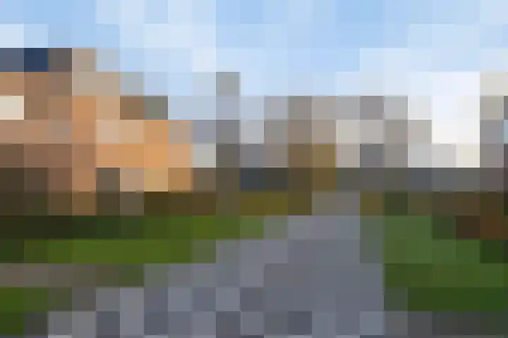 Dambordje 23 Breda thumbnail 32