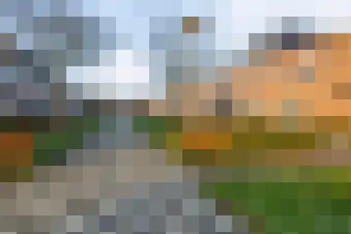 Dambordje 23 Breda thumbnail 33
