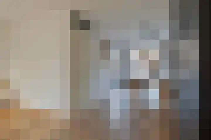 Dambordje 23 Breda thumbnail 4