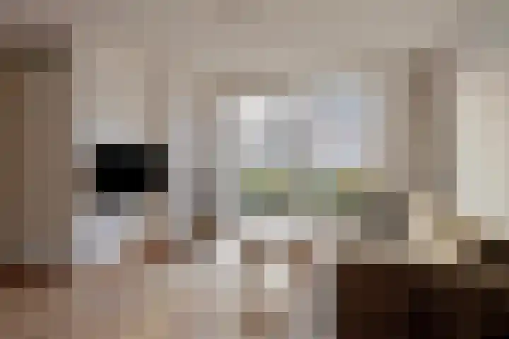 Dambordje 23 Breda thumbnail 5