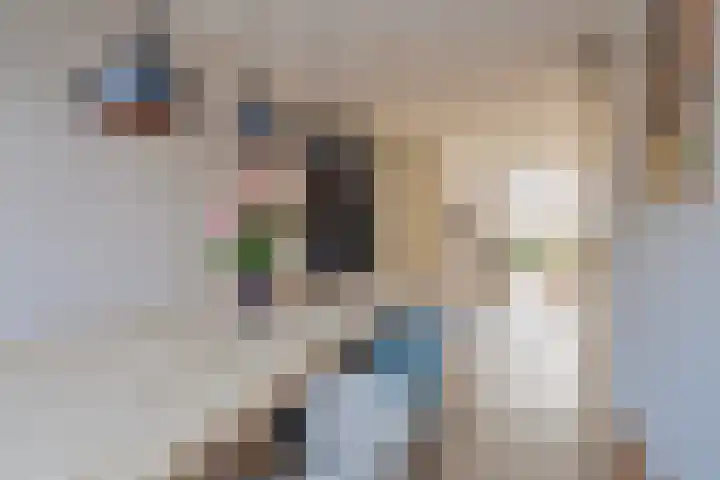 Dambordje 23 Breda thumbnail 6