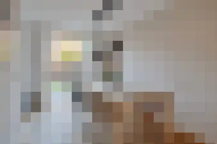 Dambordje 23 Breda thumbnail 7