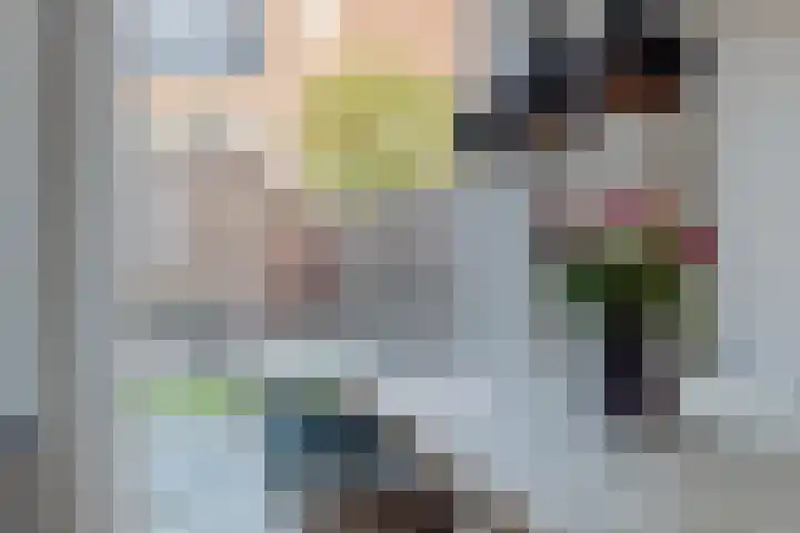 Dambordje 23 Breda thumbnail 8
