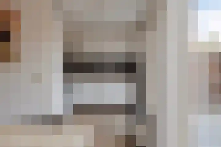 Dambordje 23 Breda thumbnail 9