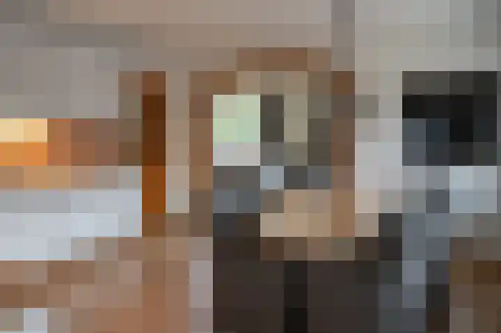Dambroek 31 Baak thumbnail 13