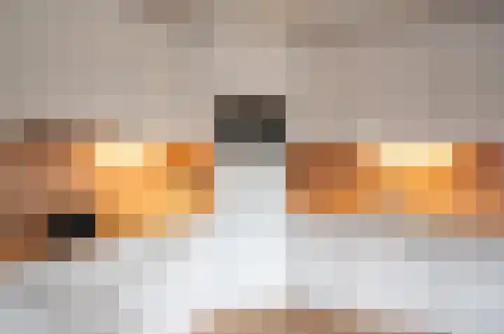 Dambroek 31 Baak thumbnail 15