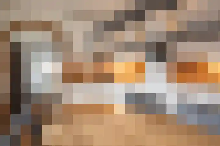 Dambroek 31 Baak thumbnail 16